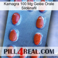 Kamagra 100 Mg Gelée Orale Sildénafil 06